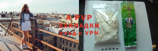 прущие грибы Ладушкин