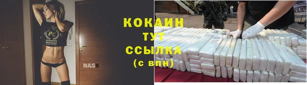 индика Михайловск