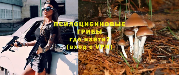 гидропоника Мегион